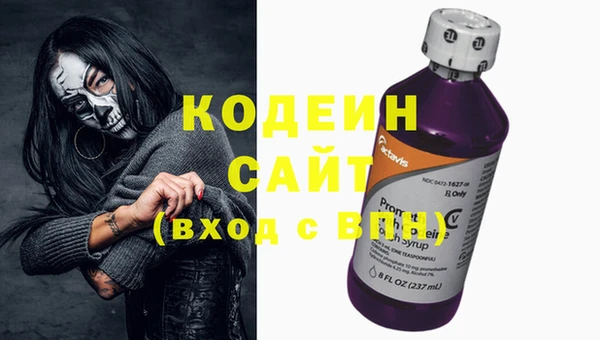 прущие грибы Инсар