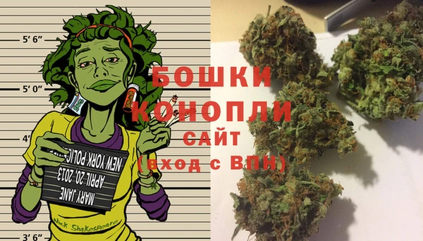 прущие грибы Инсар