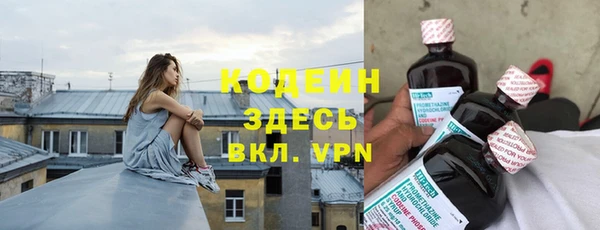 прущие грибы Инсар