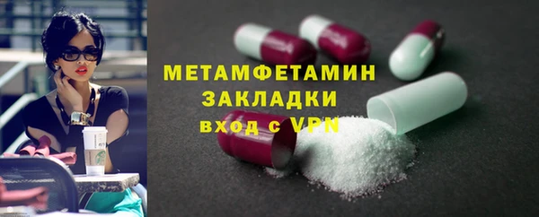 прущие грибы Инсар