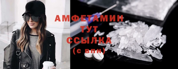 прущие грибы Инсар