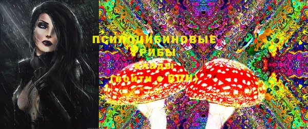 прущие грибы Инсар