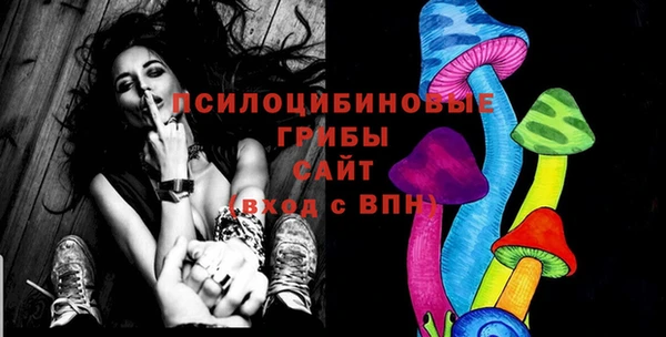 а пвп мука Инта