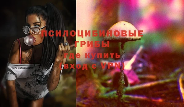 а пвп мука Инта